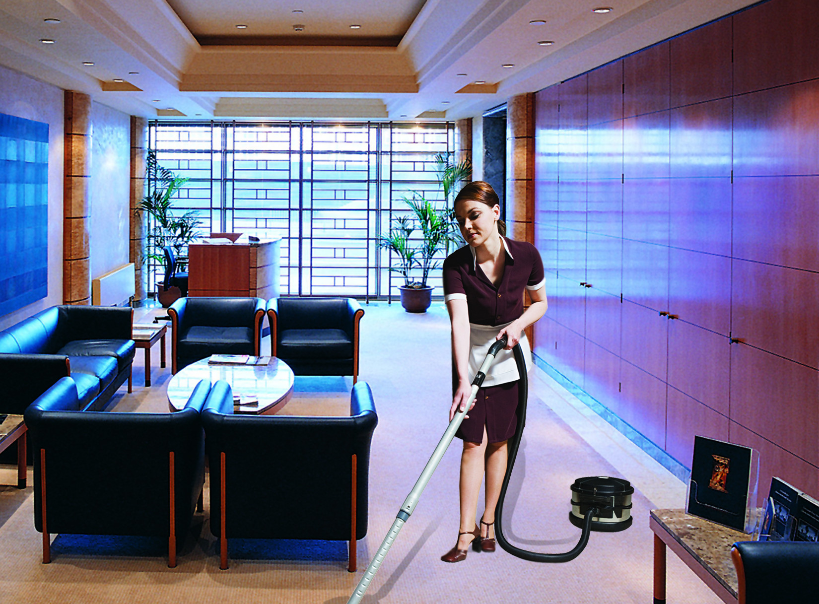 House Cleaning Domestic Residential House Cleaning Insurance